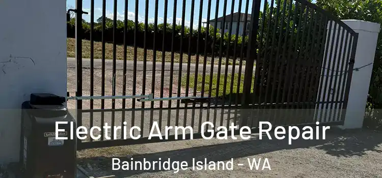 Electric Arm Gate Repair Bainbridge Island - WA