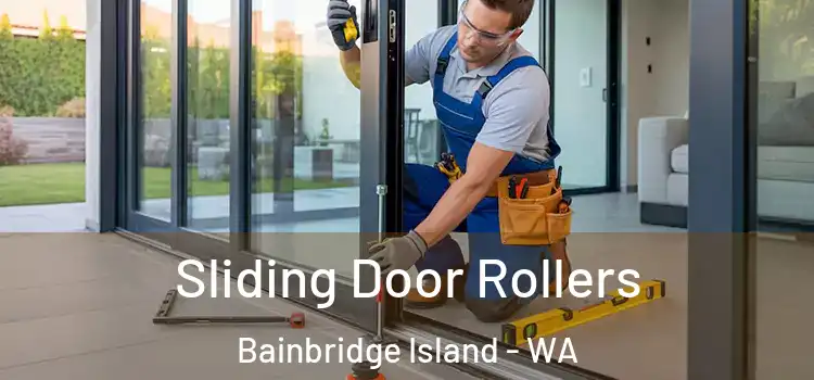 Sliding Door Rollers Bainbridge Island - WA