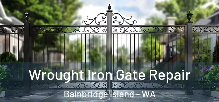 Wrought Iron Gate Repair Bainbridge Island - WA